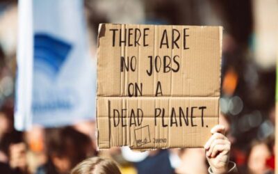 Trump Climate Policies to Cut U.S. Jobs